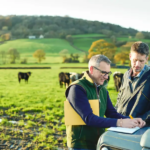 شركات الاستشارات الزراعية في مصر