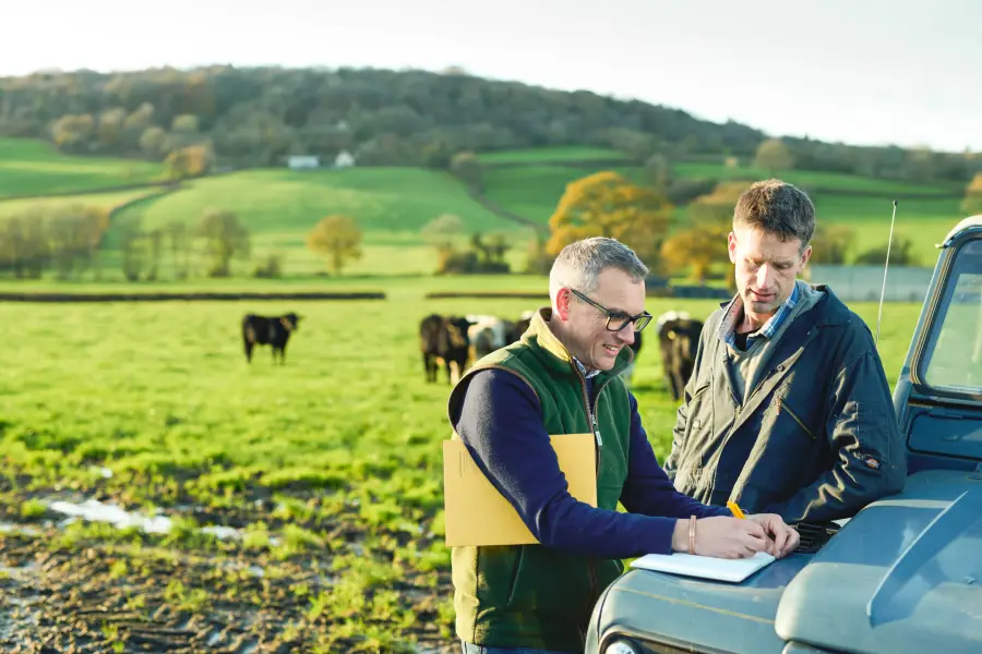 شركات الاستشارات الزراعية في مصر