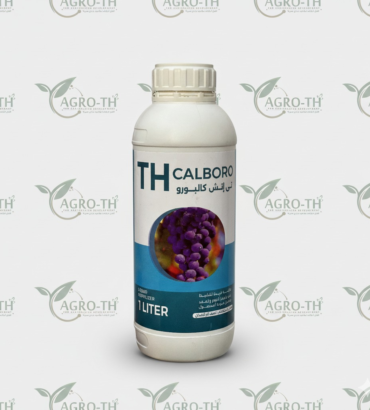 تي إتش كالبورو   TH CALBORO