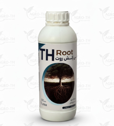تي إتش روت   TH ROOT