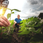 أفضل شركة أسمدة زراعية في مصر