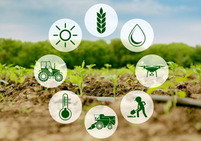 أفضل شركات الاستشارات الزراعية في مصر