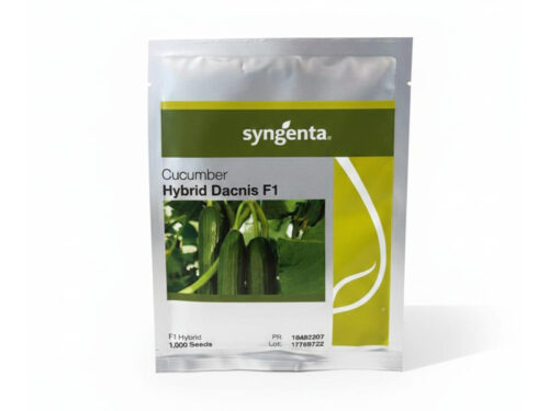 بذور خيار Hybrid Dacnis F1 سينجنتا (Syngenta) | 1000 بذرة